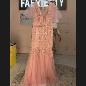 Blush Pink Lace & Tulle Prom Gown with Flutter Sleeves